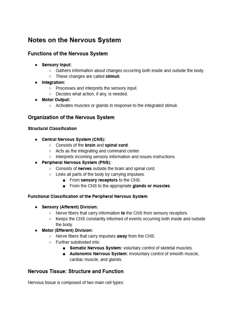 Overview of the Nervous System Functions | PDF | Motor Neuron | Central ...