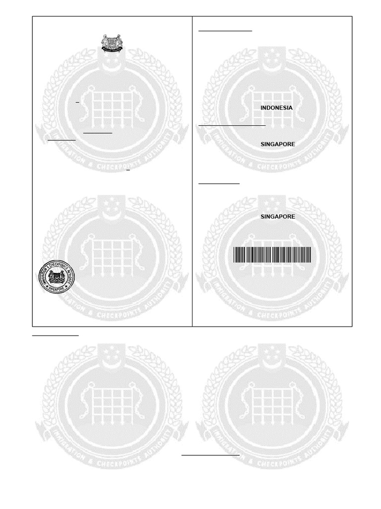 Singapore Re-Entry Permit Details | PDF | Government And Personhood ...