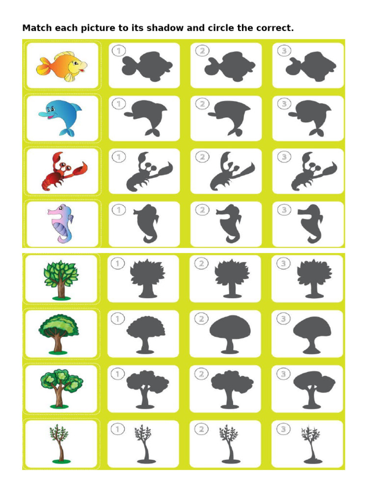Match Pictures to Shadows and Actions | PDF