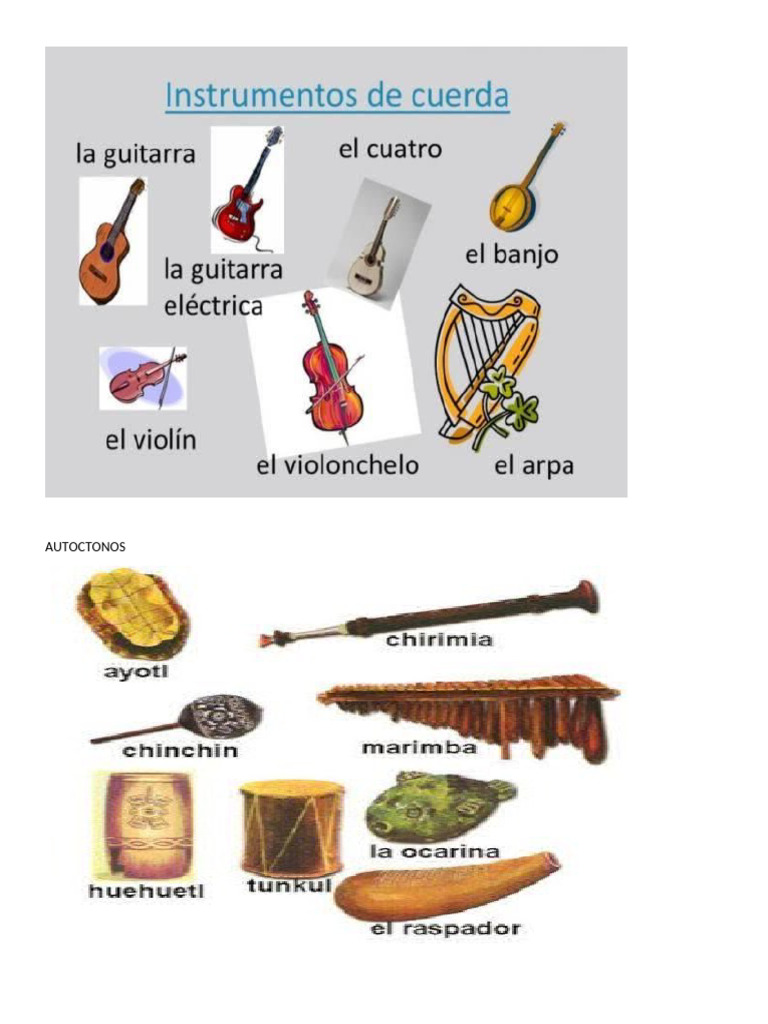 5 Instrumentos de Cuerda de Viento Percusion | PDF