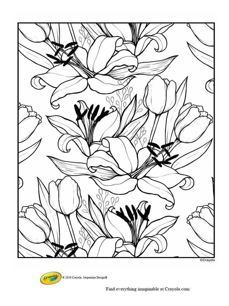 Lily and Tulip Flowers | PDF