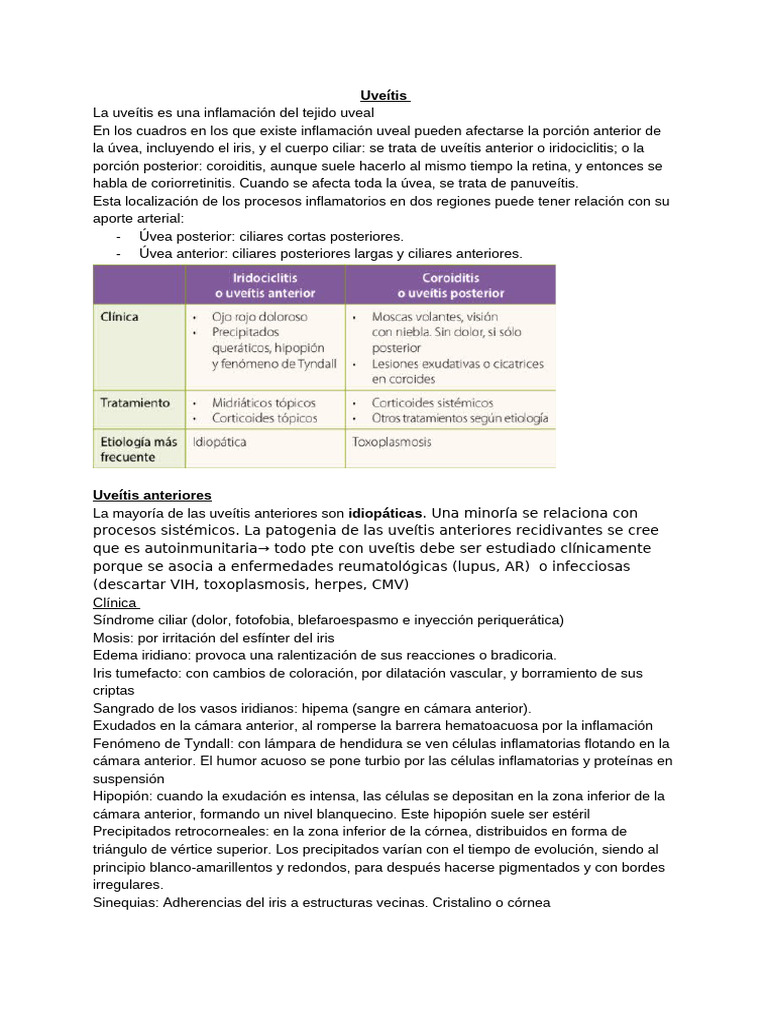 Uveítis: Tipos, Síntomas y Tratamiento | PDF | Inflamación | Causas de ...