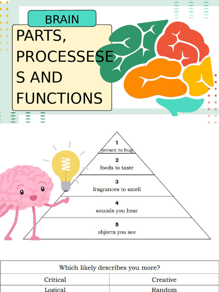 Understanding Brain Parts and Functions | PDF | Parietal Lobe | Frontal ...