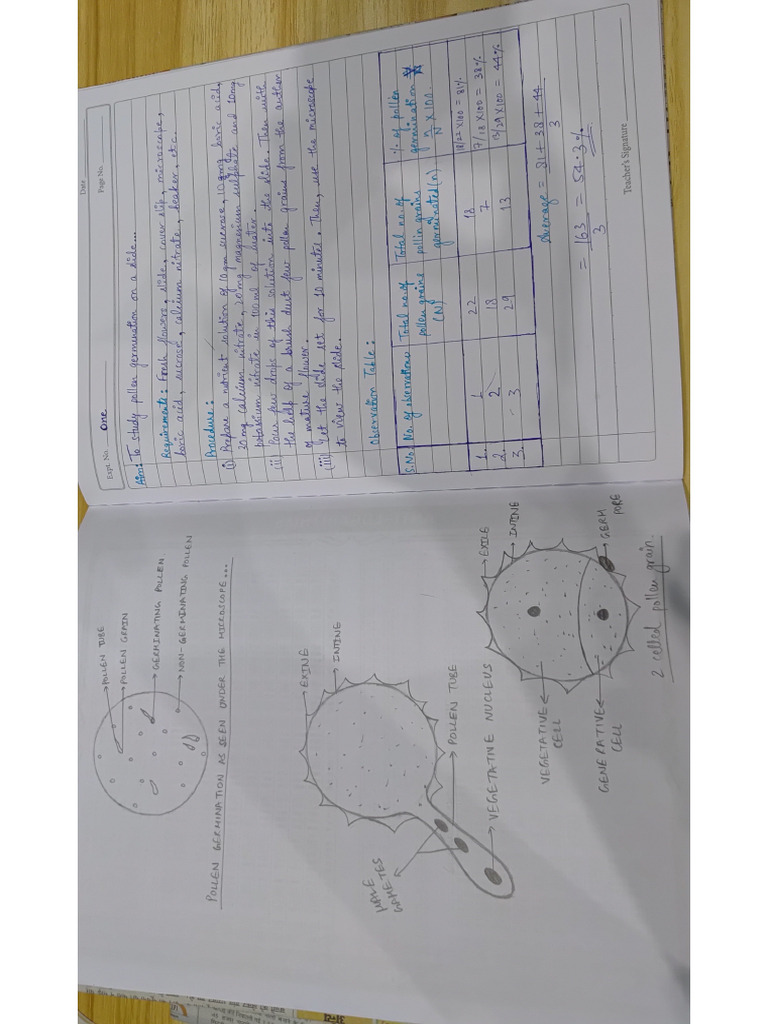 Biology Lab Manual Class 12 | PDF