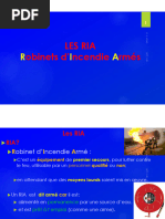 Normes et caractéristiques des RIA | PDF | Sécurité | Robinet (plomberie)