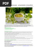 1 Ceai de cretisoara