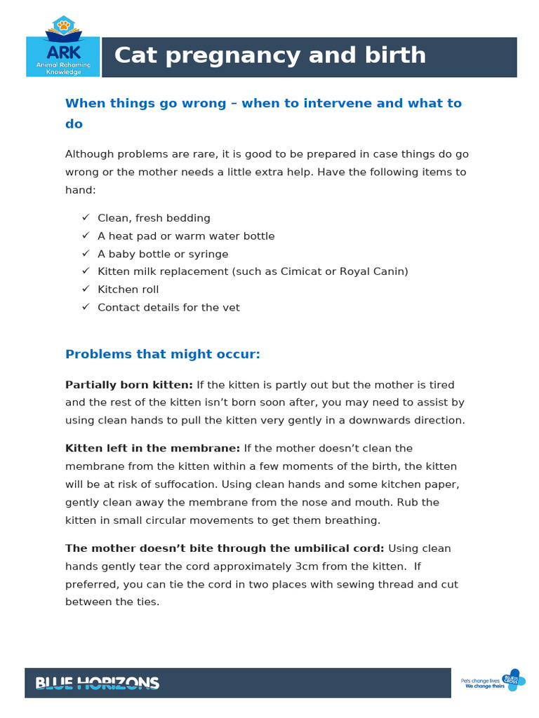 Image showcasing Cat Pregnancy and Birth - When To Intervene and What To Do | PDF | Kitten