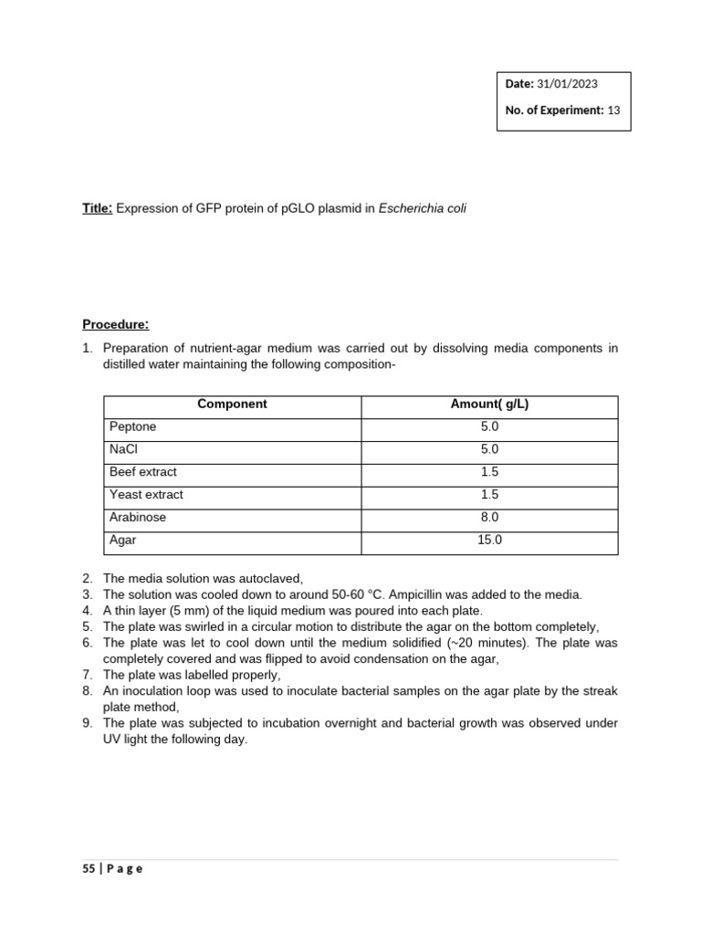 Practical 13 | PDF | Green Fluorescent Protein | Transformation (Genetics)