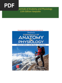 Full Download Seeley's Essentials of Anatomy and Physiology 11th Edition Vanputte PDF DOCX