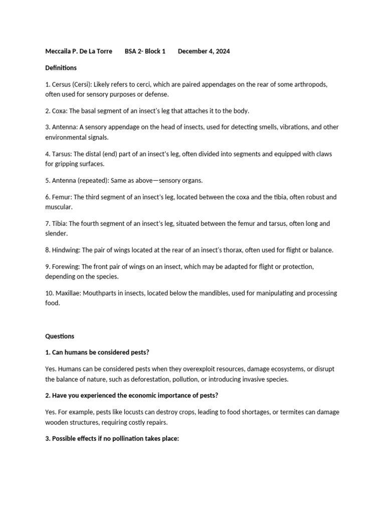 Insect Anatomy and Human Impact | PDF | Insects | Pollination