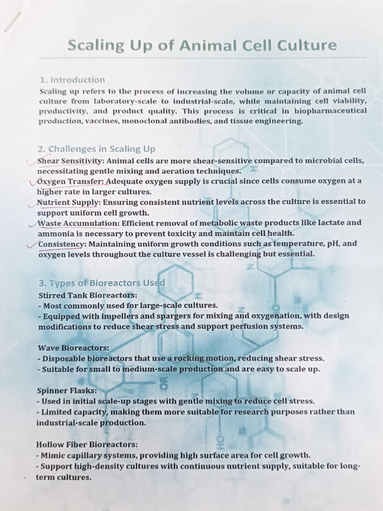 Monoclonal Antibody Scale-Up Strategies | PDF | Monoclonal Antibody ...