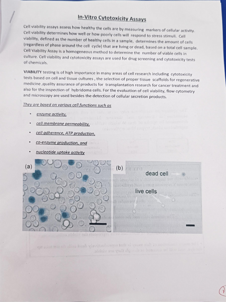 In Vitro Assay | PDF | Cytotoxicity | Assay
