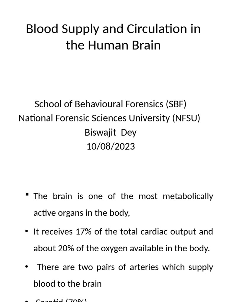 Brain Blood Supply and Circulation Overview | PDF | Cerebral Cortex ...