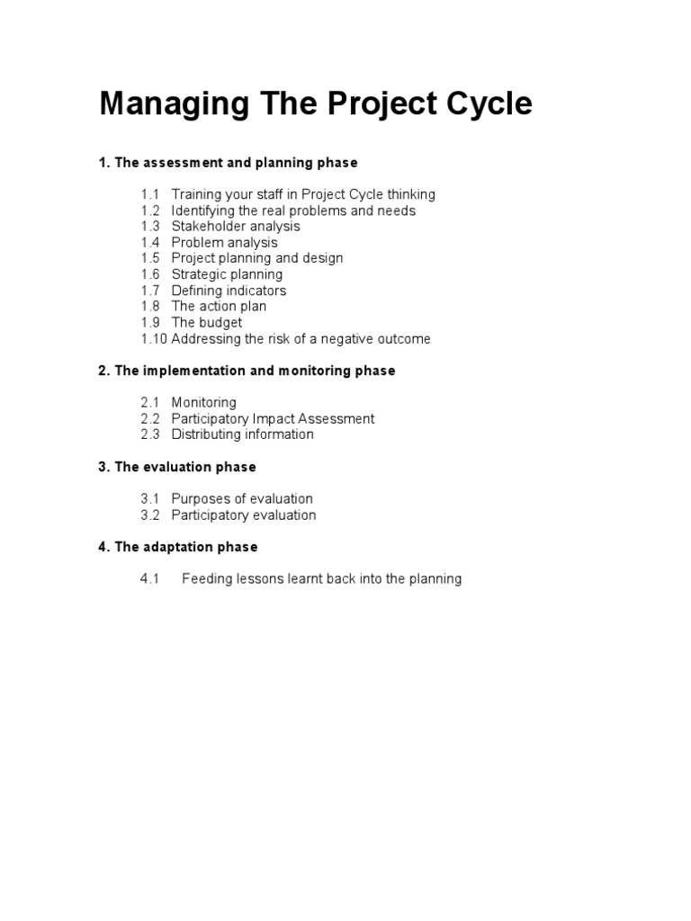 Project Cycle Management Guide | PDF | Business | Art