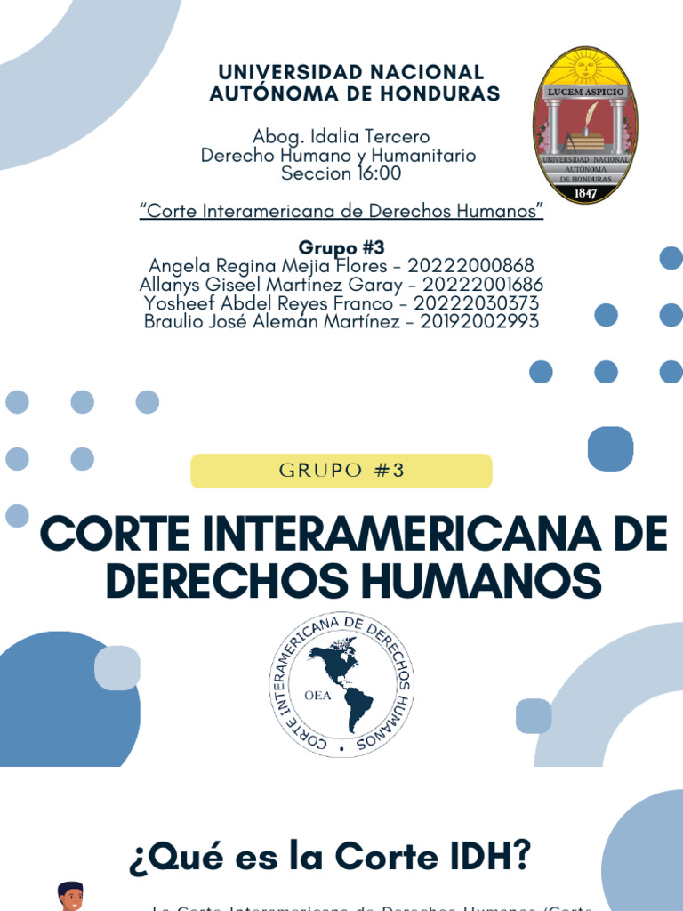 Funciones y Estructura de la Corte IDH | PDF | Derechos humanos | Gobierno