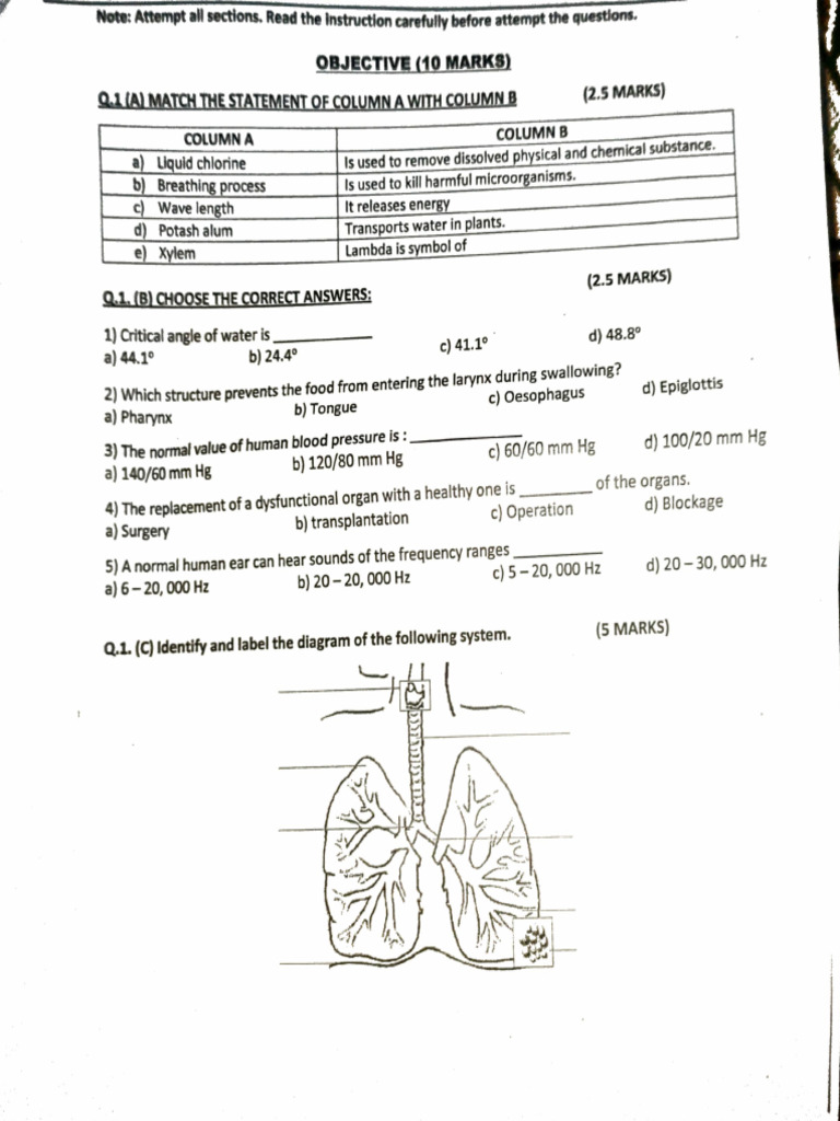 Science Assessment | PDF