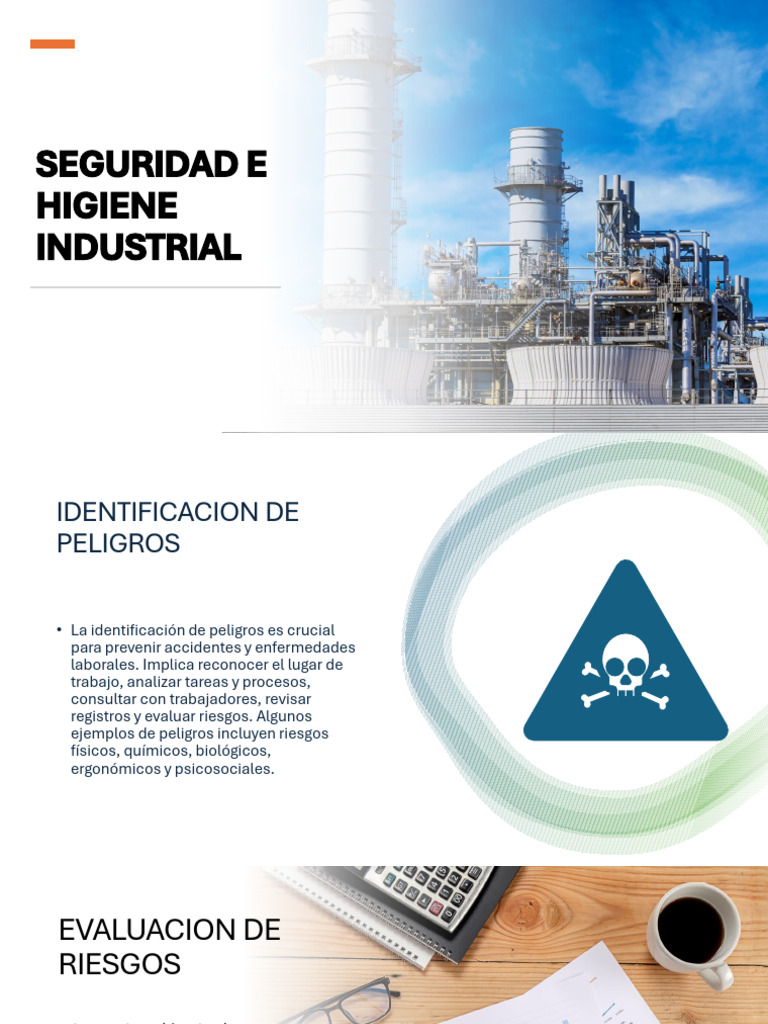 Seguridad e Higiene Industrial 12 | PDF | Riesgo