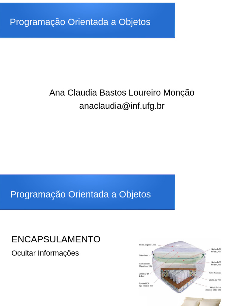 Encapsulamento na Programação Orientada a Objetos | PDF | Classe ...