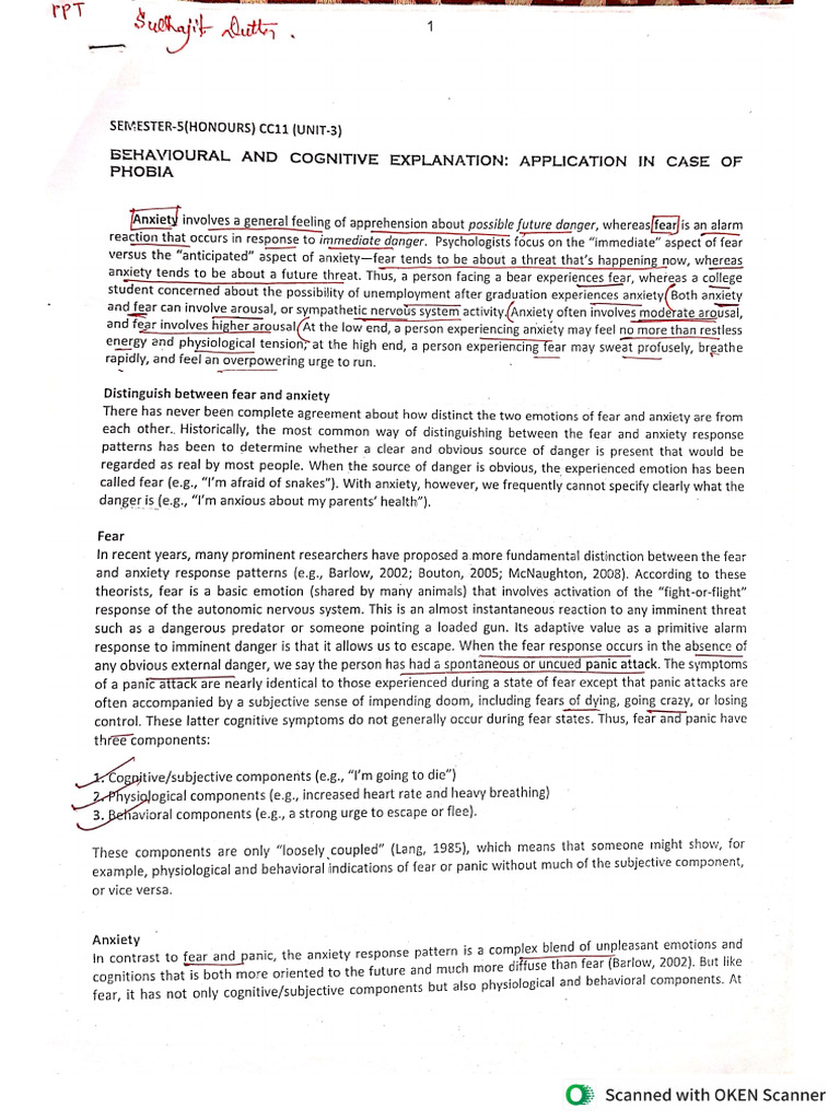 CC11 Unit 3 Phobia | PDF