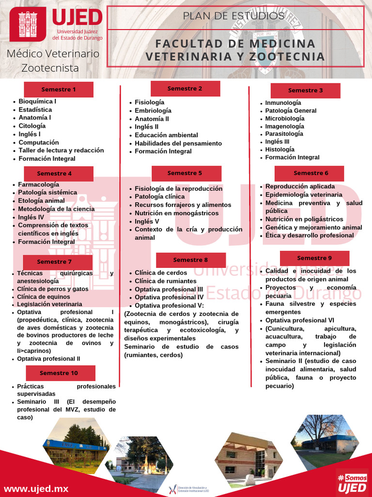 Plan de Estudios Veterinaria y Zootecnia | PDF | Medicina Veterinaria ...