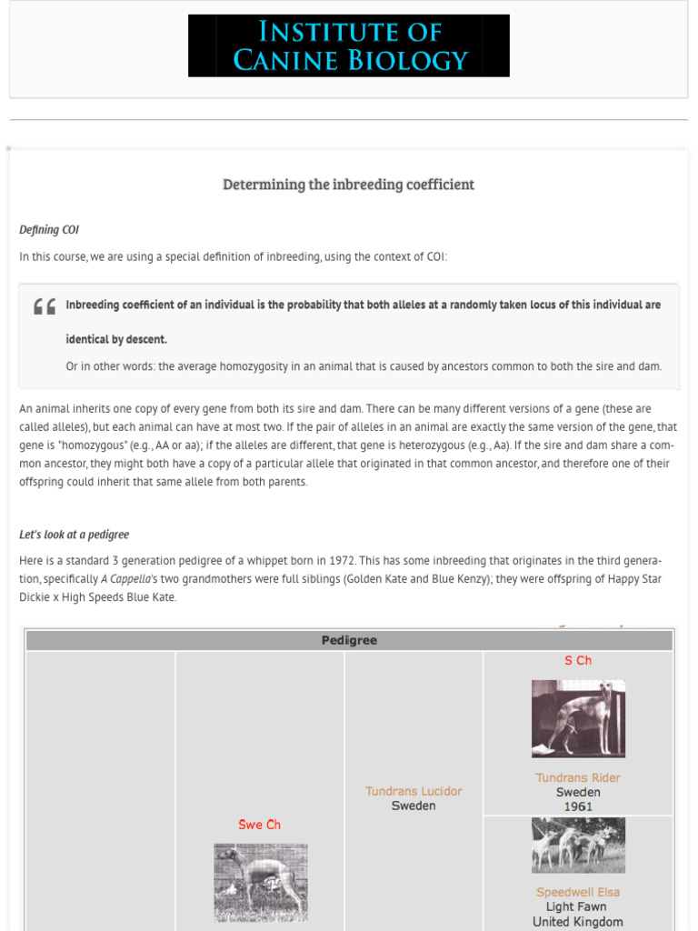 Calculating Canine Inbreeding Coefficient | PDF | Inbreeding | Zygosity