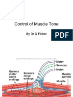 6.control of Muscle Tone