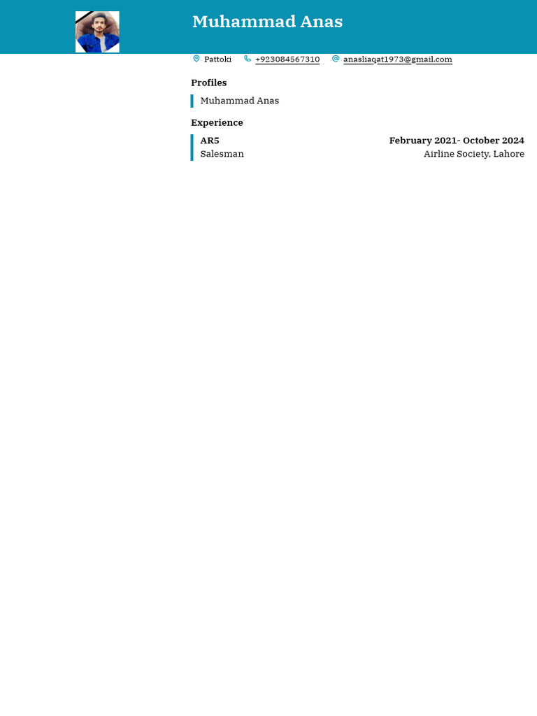 Muhammad Anas - Salesman Profile | PDF