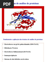 Tecnicas de Analise de Proteinas