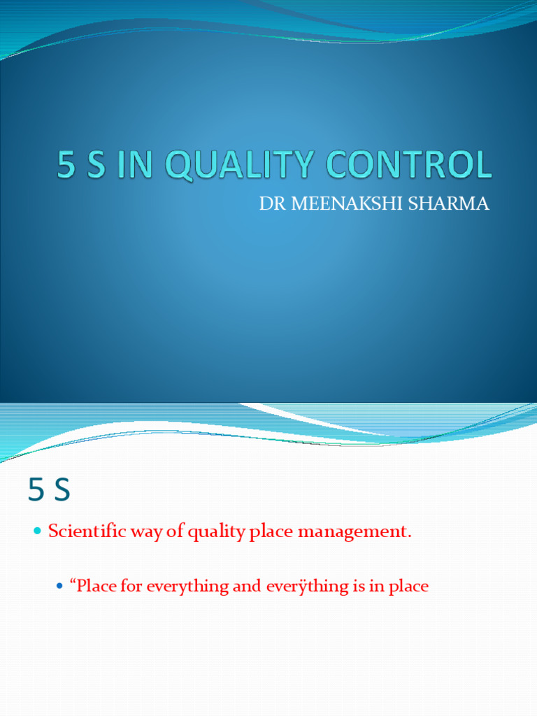 5S Methodology for Workplace Efficiency | PDF | Business