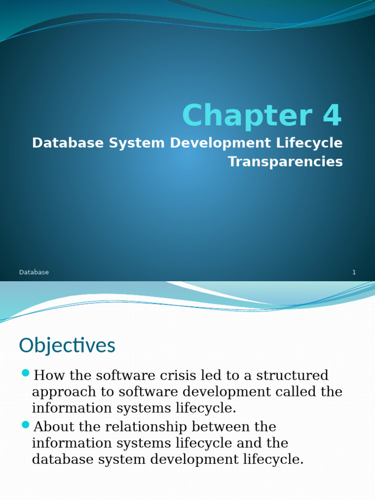 Database System Development Lifecycle | PDF | Databases | Database Design