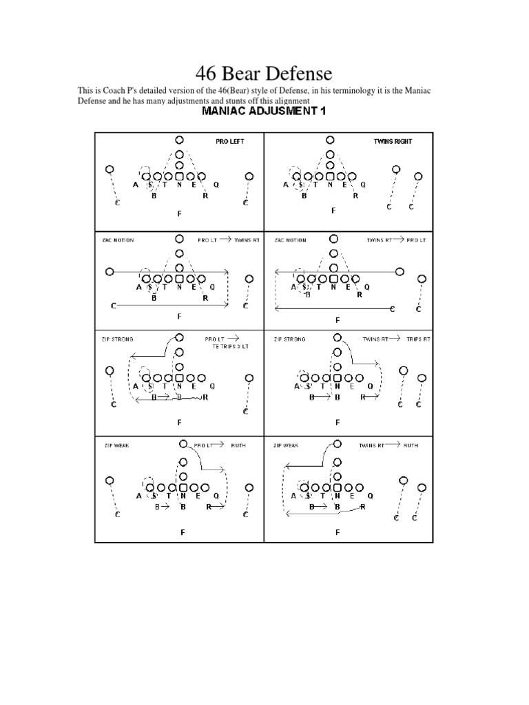 46 Bear Defense Playbook Overview | PDF