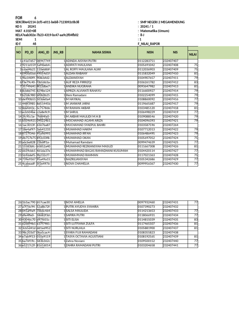 Nil - Rapor - 20241 - 401000000 - 8-J | PDF