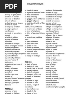Animals Sounds and Movement