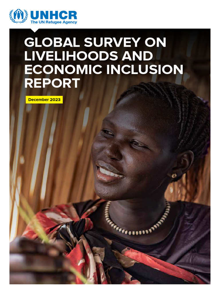 Global Survey On Livelihoods and Economic Inclusion Report | PDF