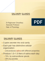 Salivary Glands