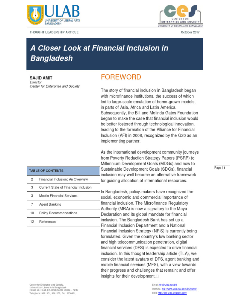 A Closer Look at Financial Inclusion In | PDF | Financial Inclusion | Banks