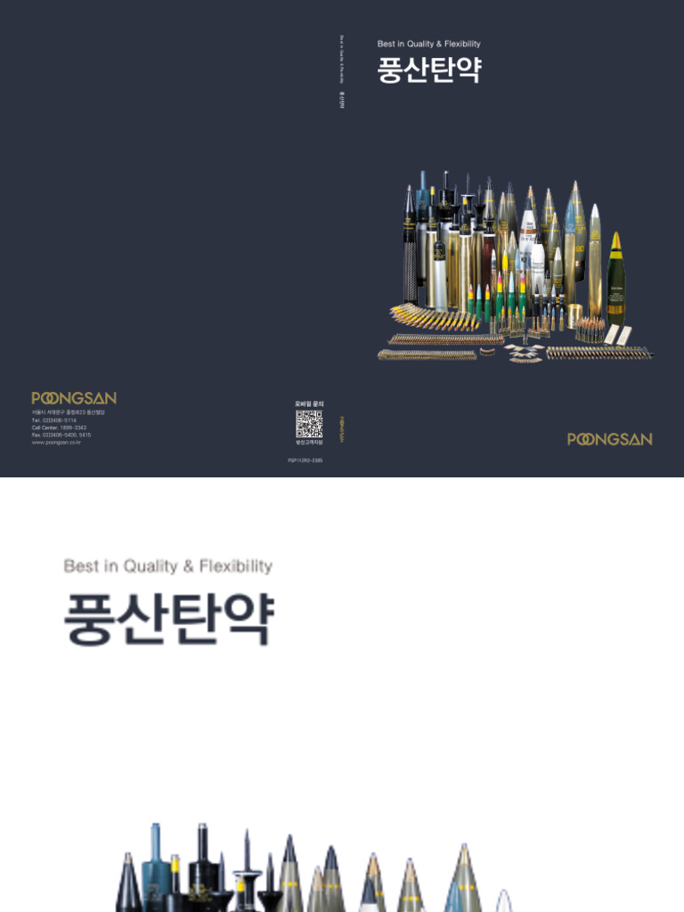 Defence Support | PDF