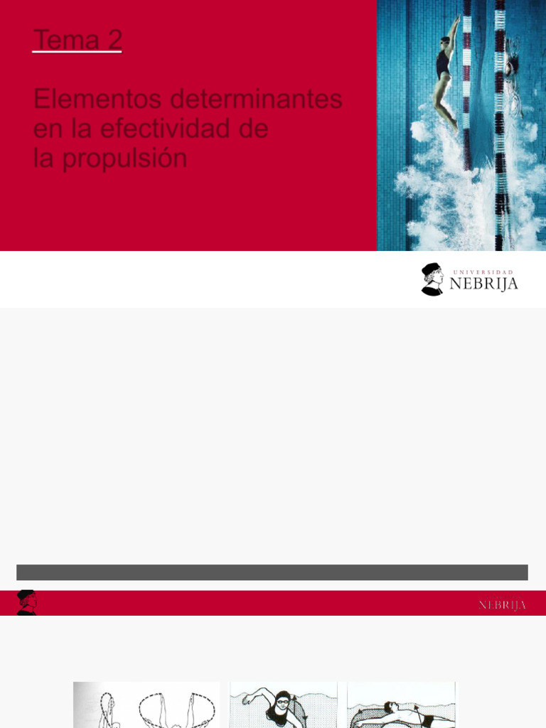 Tema 2 | PDF