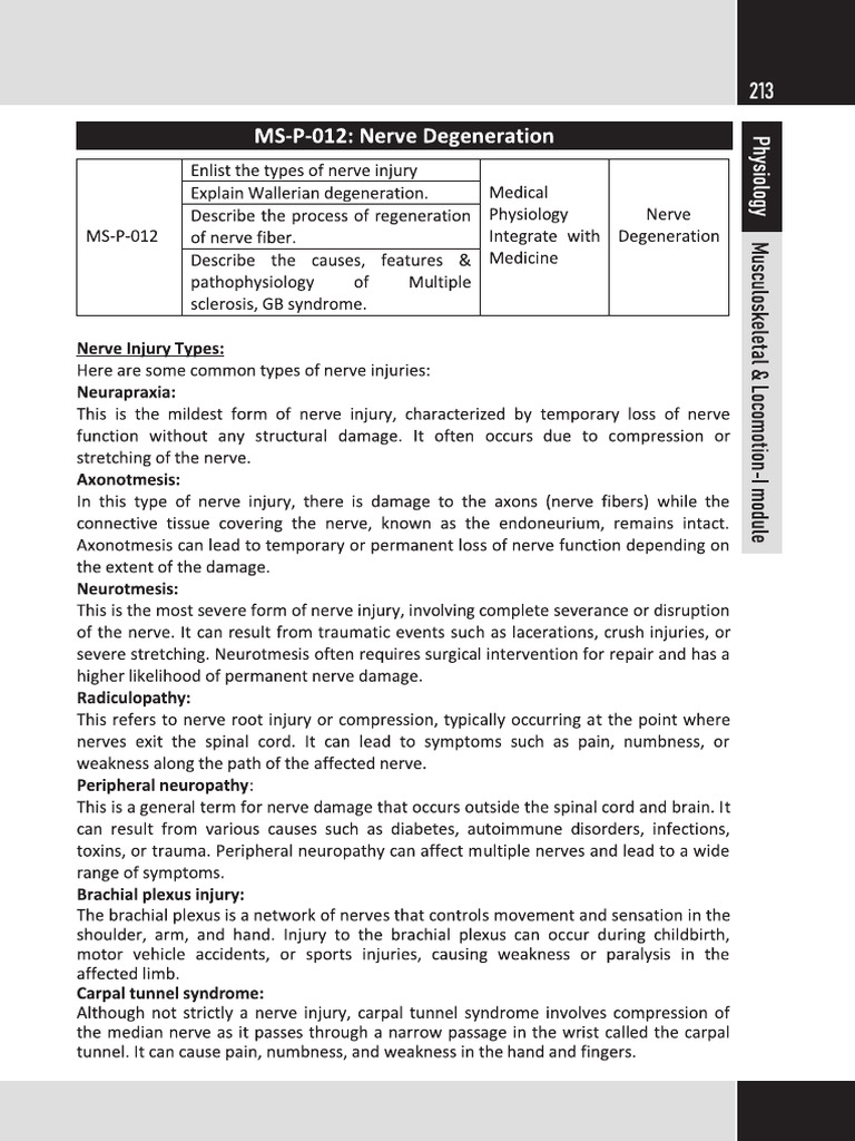 MS P 012 | PDF