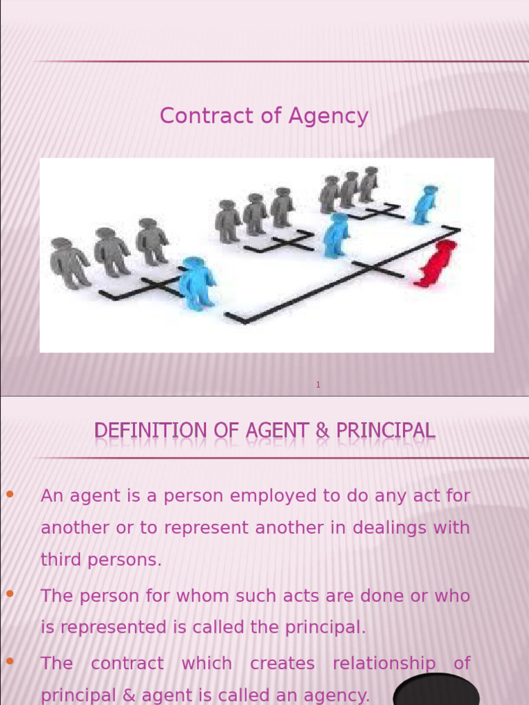 Understanding Agency Contracts and Roles | PDF | Law Of Agency | Legal ...