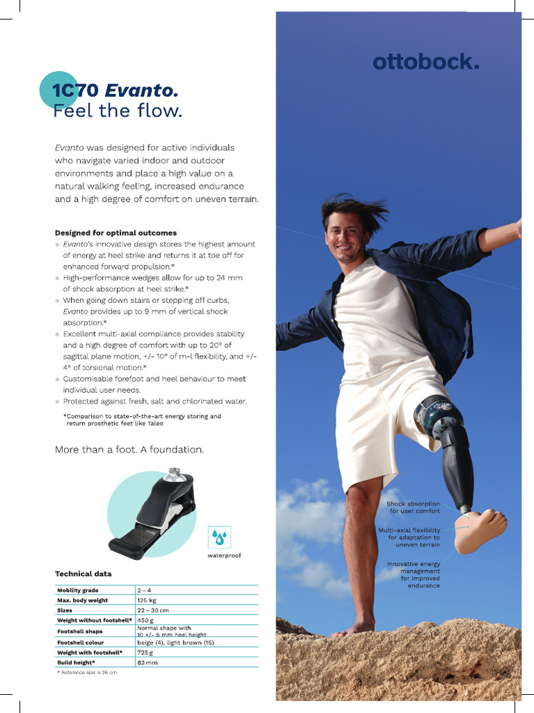 Evanto - Product Brief & Order Form | PDF