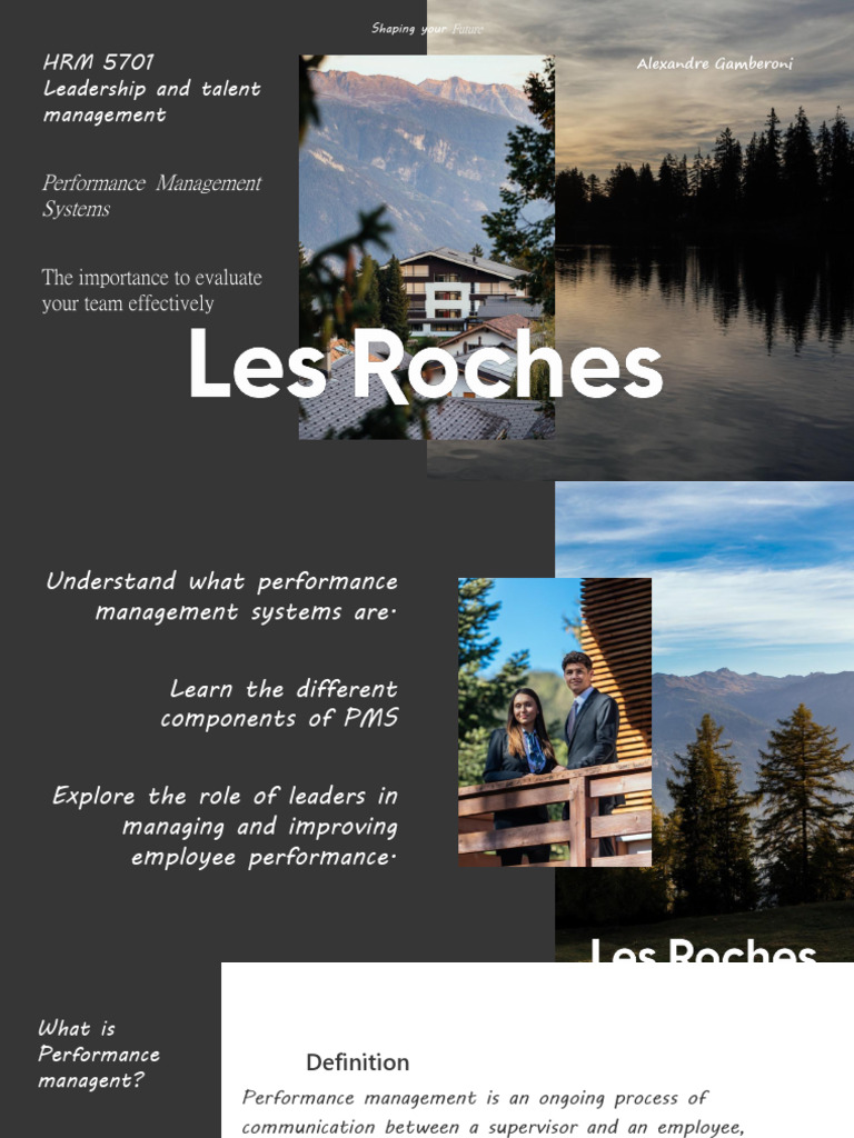 4 performance management | PDF | Performance Appraisal | Goal