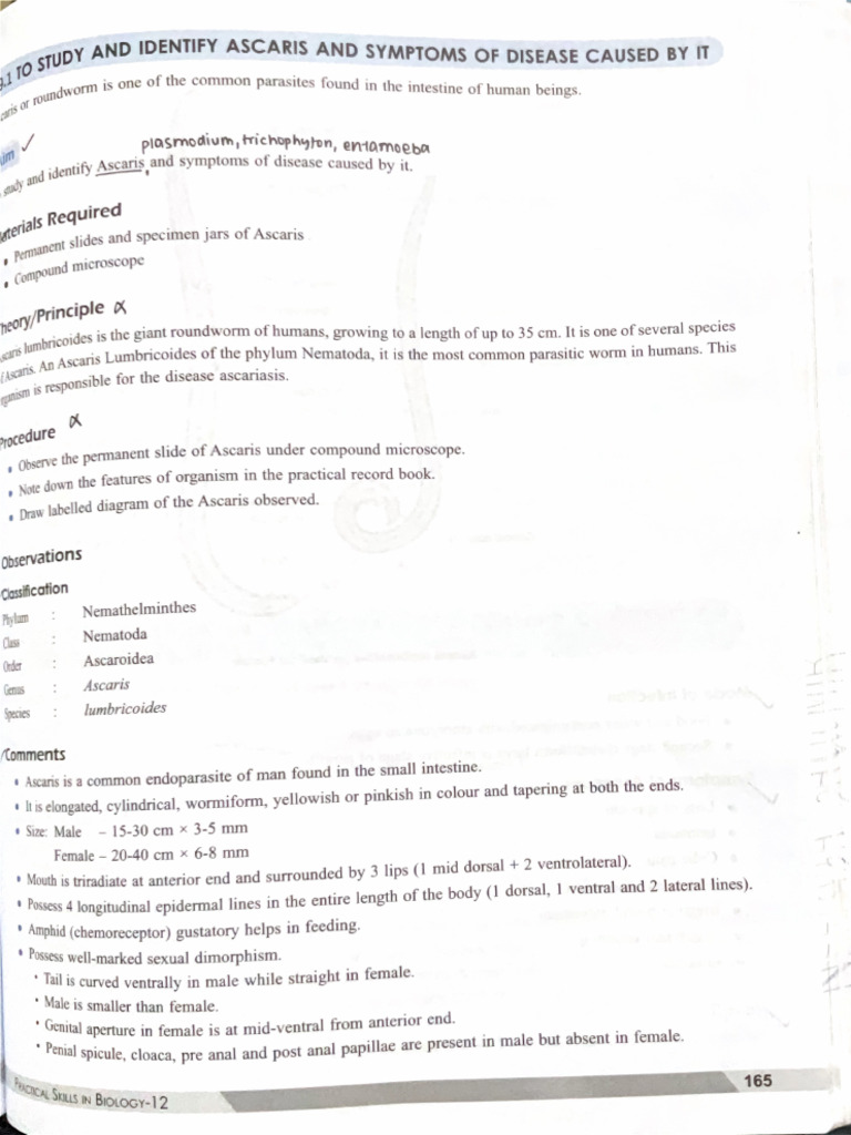 Scanned Document 14-11-24 at 10.12.31 PM | PDF
