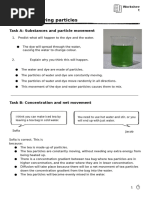 Tea Bag Diffusion Experiment Insights | PDF | Diffusion | Water