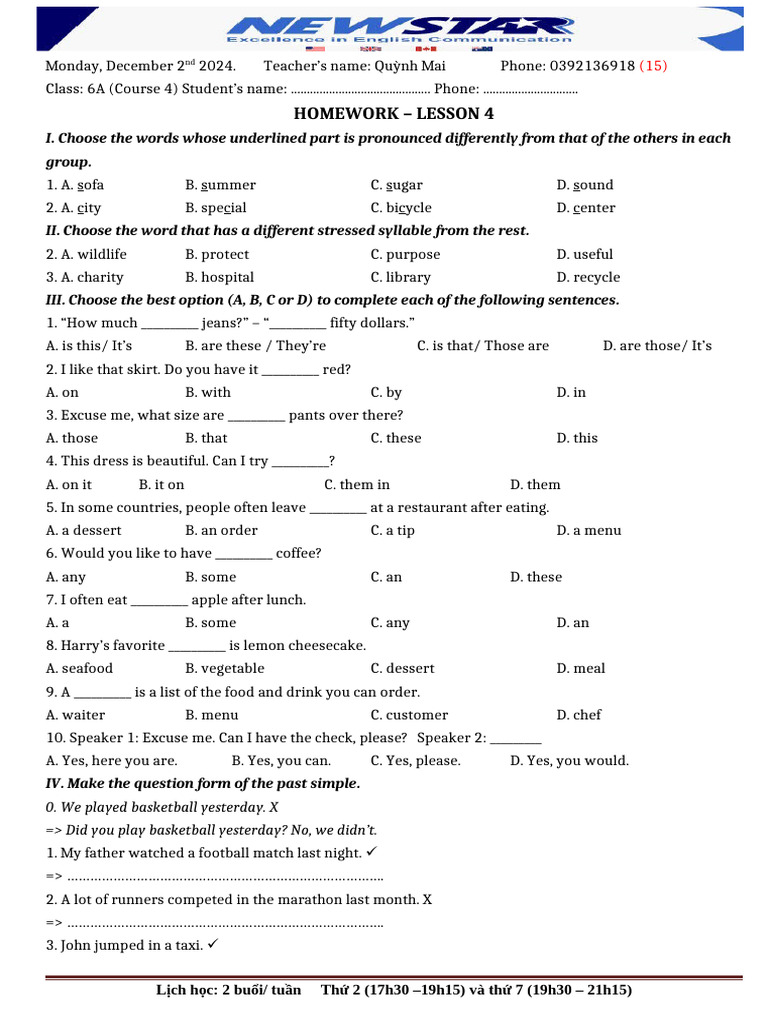 6A Homework: English Lesson 4 Tasks | PDF