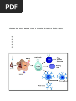 ゴシックアンドロリータバイブル　vol.12-14 Fish Immune System and Vaccines | PDF | Immune System | Antibody