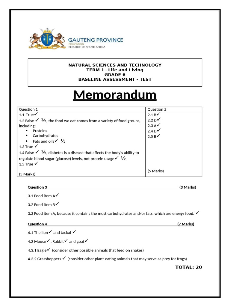 Grade 6 NST Term 1 Baseline Test Memo | PDF