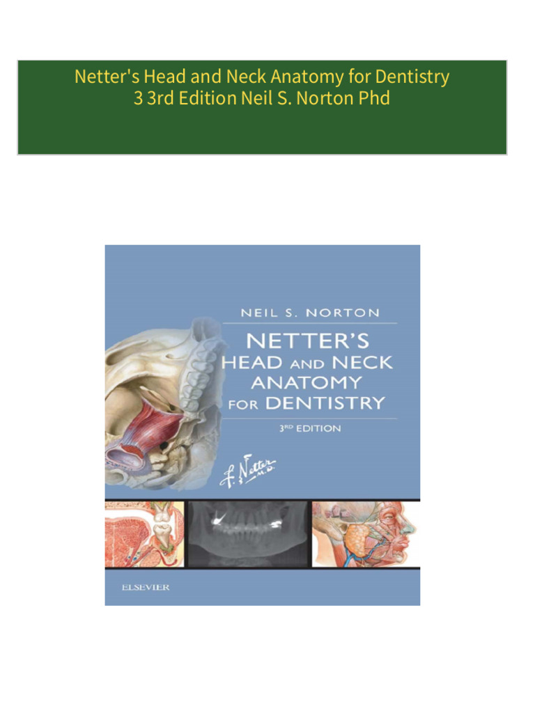 Head And Neck Anatomy For Dentistry Head And Neck Anatomy 3D Models