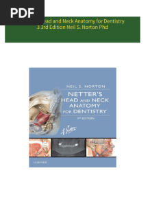 Download full Netter's Head and Neck Anatomy for Dentistry 3 3rd Edition Neil S. Norton Phd ebook all chapters