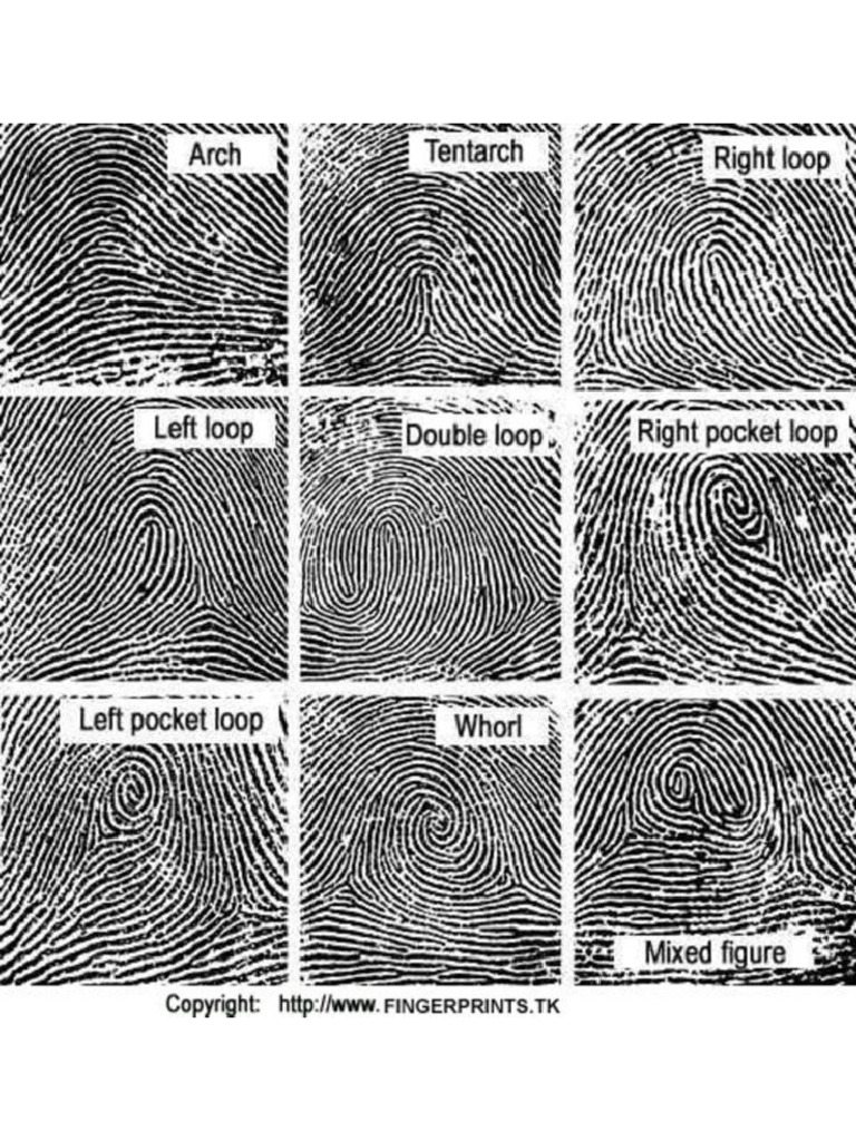 Finger 3 | PDF